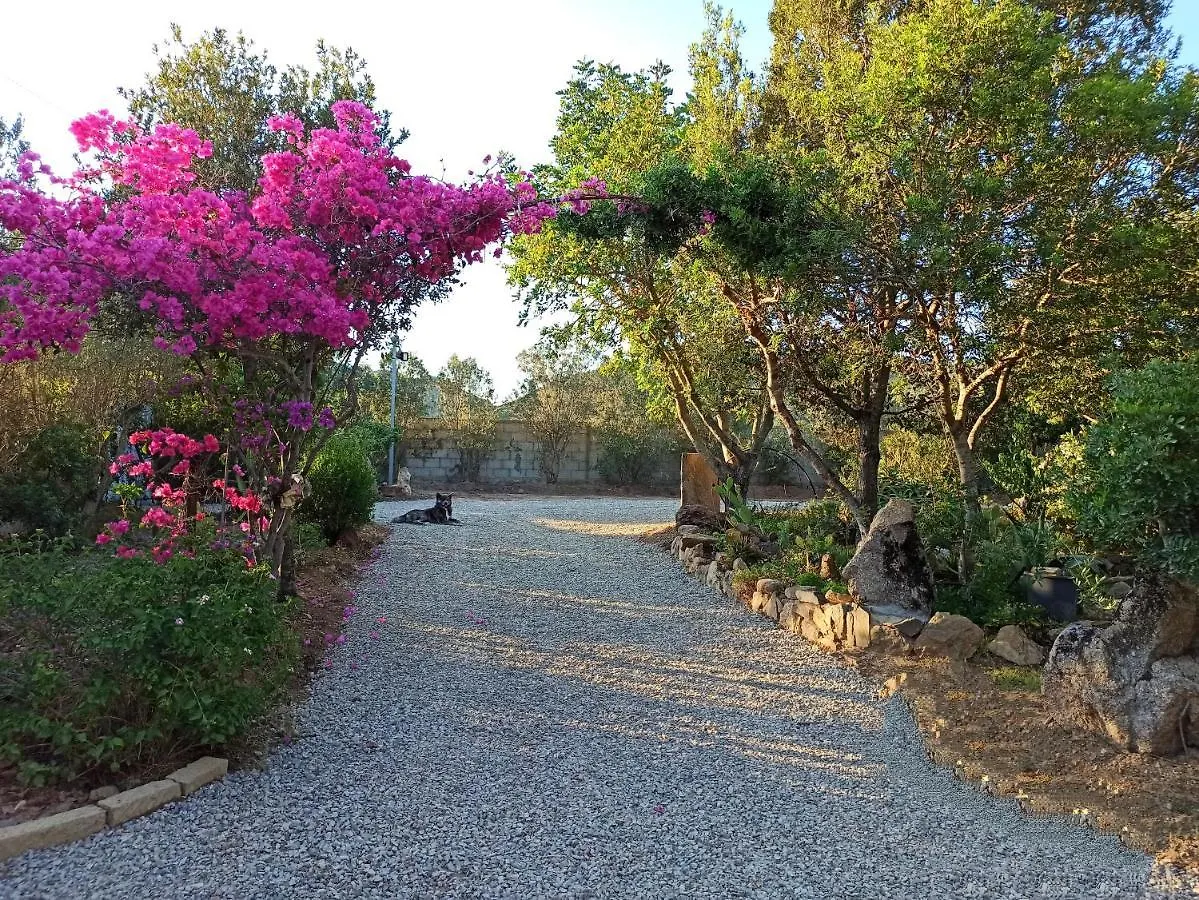 Il Ginepro Villa Villaputzu Holiday home