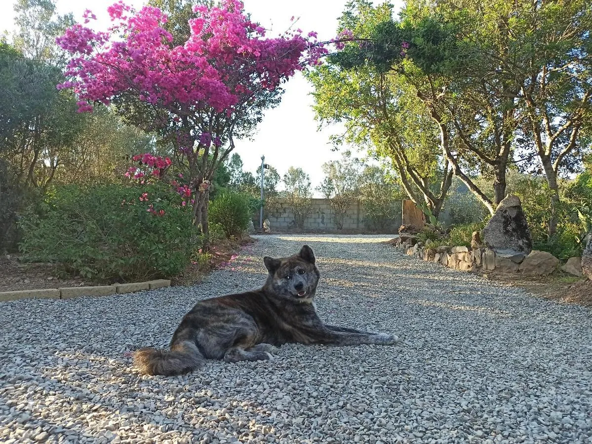 Il Ginepro Villa Villaputzu